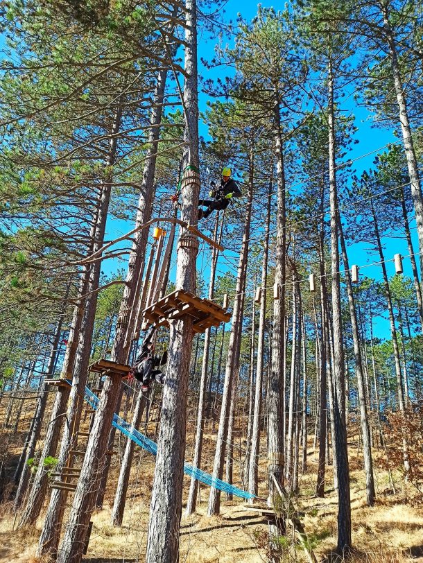 Realizzazione di un parco divertimenti nel bosco