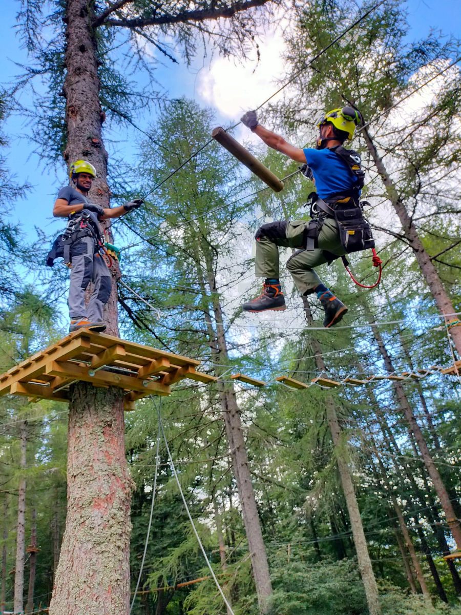 Terminata la costruzione del parco avventura, personale esperto testa la sicurezza dei percorsi sugli alberi
