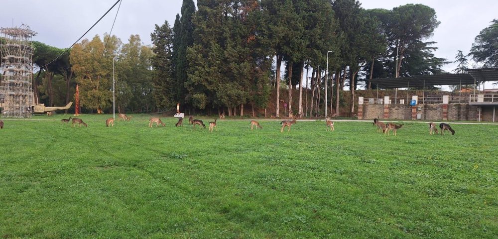 Dettaglio struttura 35x7 con 245 fili – Teleferica militare Esercito Italiano