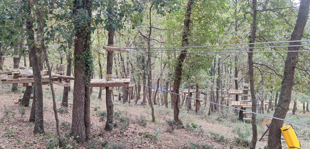 Pali e strutture del parco avventura durante la fase di allestimento