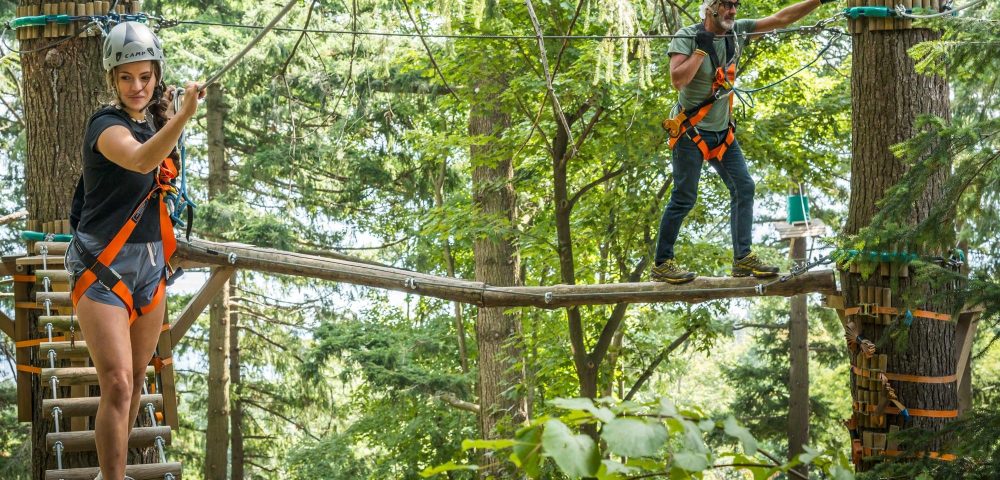 Realizzazione percorsi tra alberi parco avventura jungle raider park albavilla