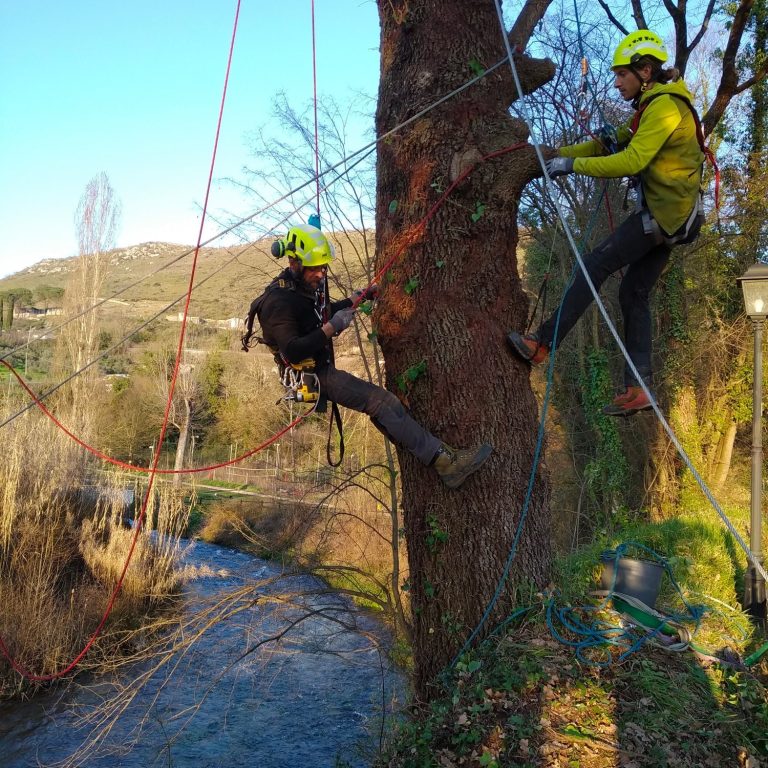 Team italiana parchi costruzione parco avventura frosinone